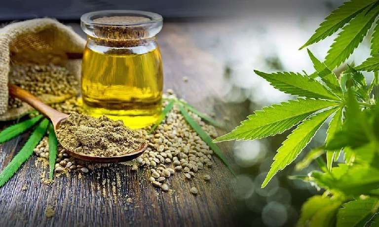 Best Ways to Choose Quality CBD Oil Products