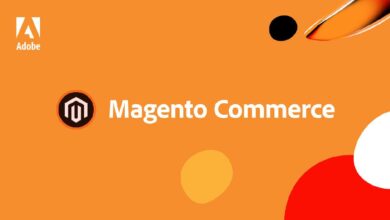 Top 10 Reasons to Choose Magento