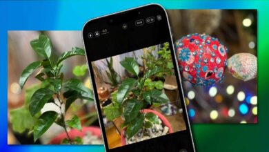 6 Best Android Apps To Identify Plants By Photos