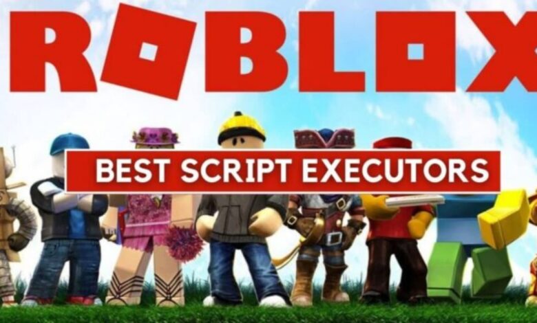 Roblox Executors