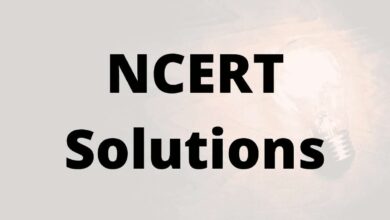 Why should you opt for ncert solutions for class 6 maths