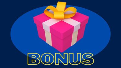 What are the Bonuses In Online Casinos?