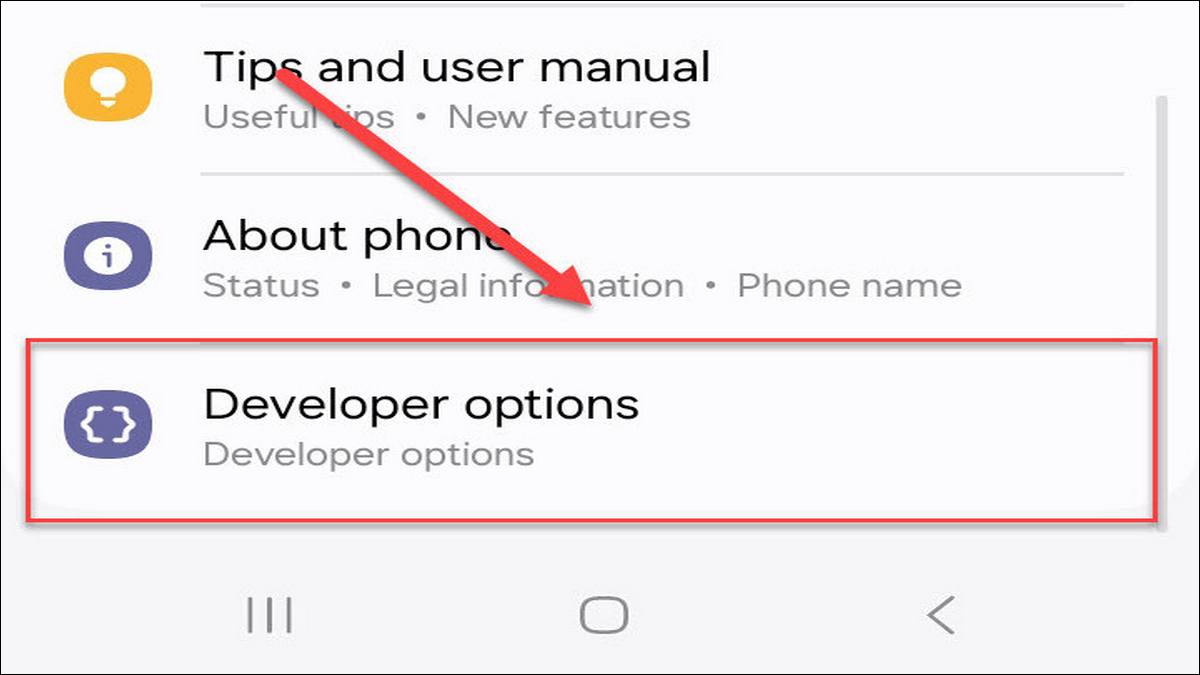 How to enable Developer Options on Samsung Galaxy F14