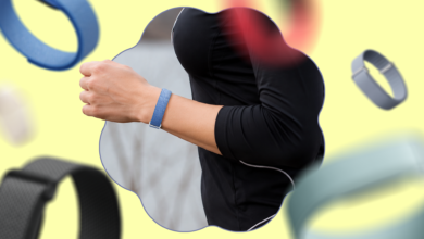 Fitbit Air Tempts Users Who Prized Feature-Rich Technology