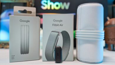 Google's Fitbit Air Launches at $99 as Screenless Tracker