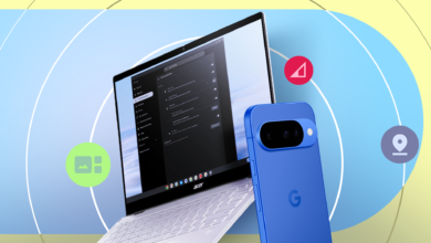 Google's Phone Hub Links Android and Chromebook in One Panel